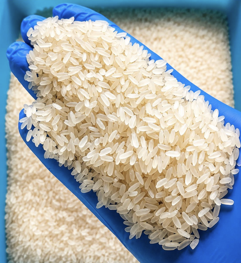 IR64 Boiled Rice