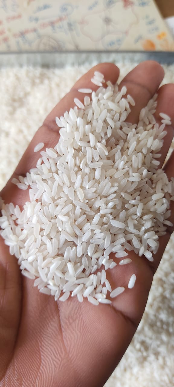 IR64 Raw Rice